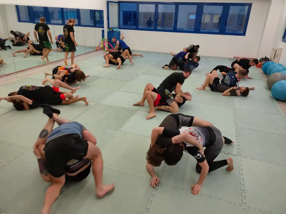 Dojo del Drago — momento 29